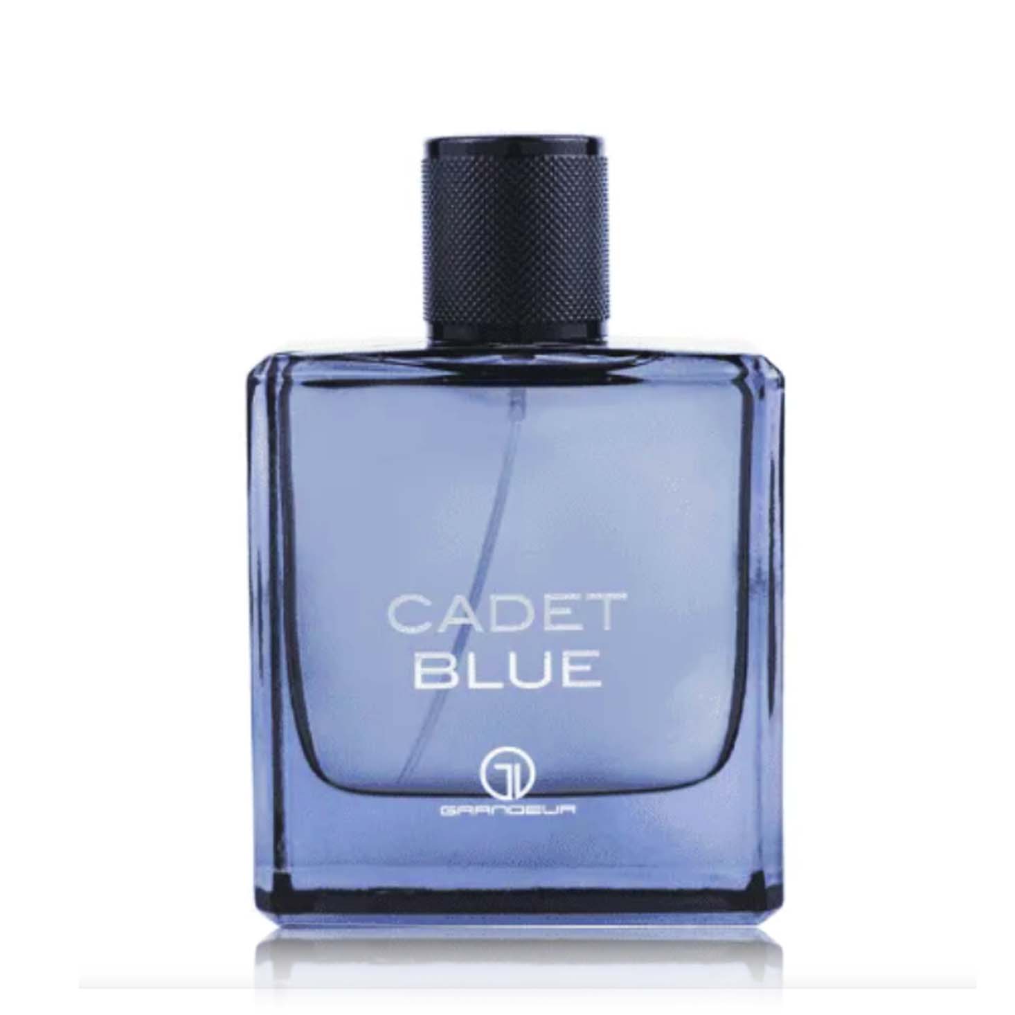 CADET BLUE Мъжки Парфюм 100 Мл