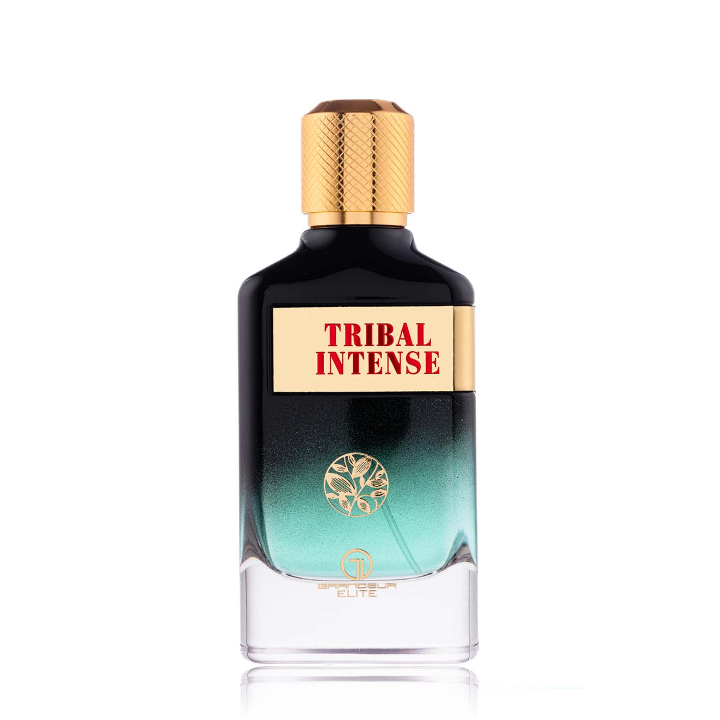 TRIBAL INTENSE Мъжки Парфюм 100 Мл